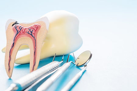The image shows two pairs of false teeth with anatomical details such as blood vessels and roots, placed on a dental tool tray next to a dental model head.